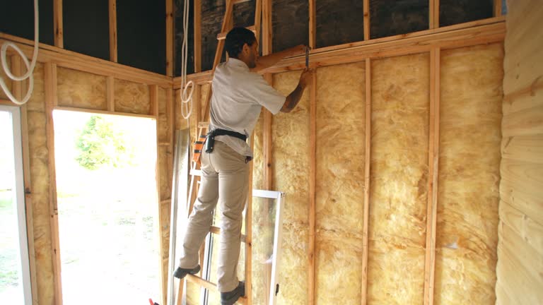 Insulation Air Sealing in Noel, MO